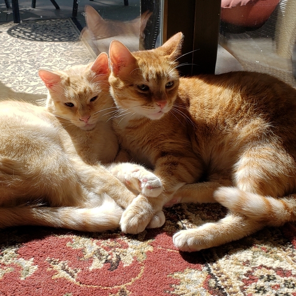 ******Welcome to Colby Alexander's****** - Picture 2 of 3